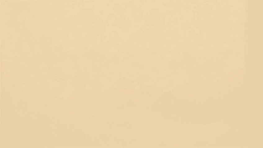 pinceau blush coréen 3ce