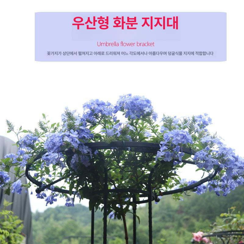 정원 능소화 지지대 철제 펜스 화단 테라스 식물 덩굴 프래임 나팔꽃 넝쿨지지대 정원울타리 싱글링 블랙 높이 155cm 20cm 대 - 상세 이미지 3
