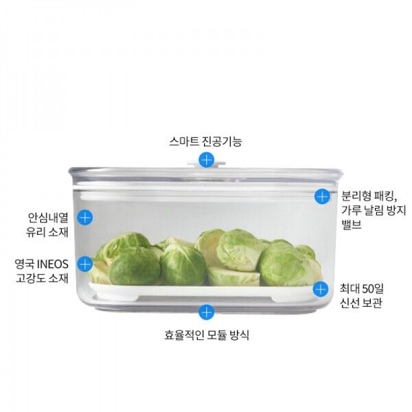 프레쉬 마에스트로 진공용기 베스트 7P 세트 - 상세 이미지 3