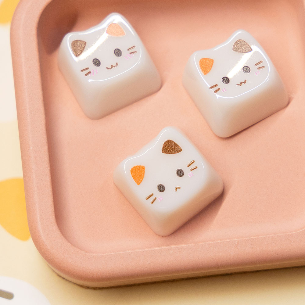 글로시캣 키캡 오렌지 영문 고양이 MAO 삼색이 조약돌 귀여운 기계식키보드 앱코 독거미 - 상세 이미지 4
