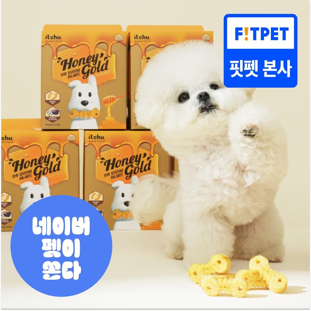 강아지 양치껌 허니골드 34P 덴탈껌 치석제거 소프트 잇츄 핏펫