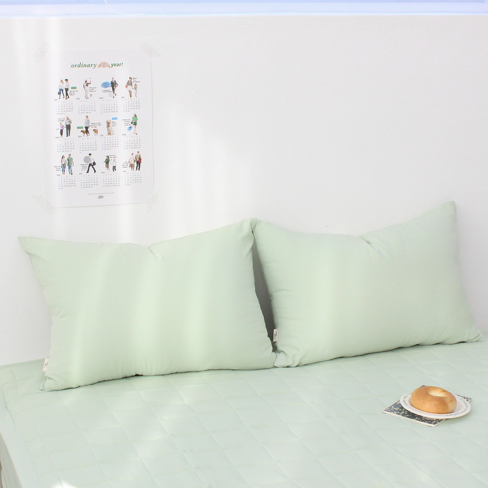 1+1  부드러운 아멜리 워싱 사계절 베개커버 2장 페일 라임, 50x70cm