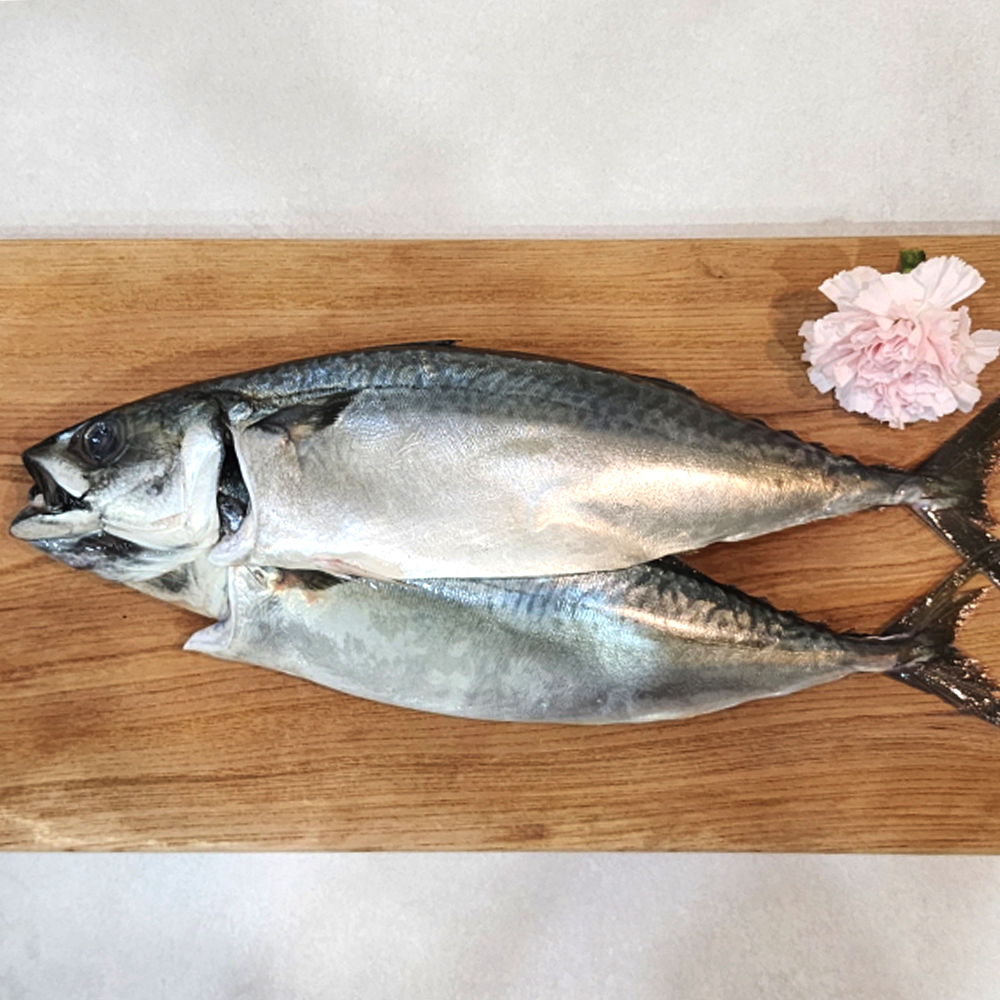 자연가득 부산 다대포 진공포장 자반 고등어 특대 2미 손질후 900g-1.1kg - 상품 이미지