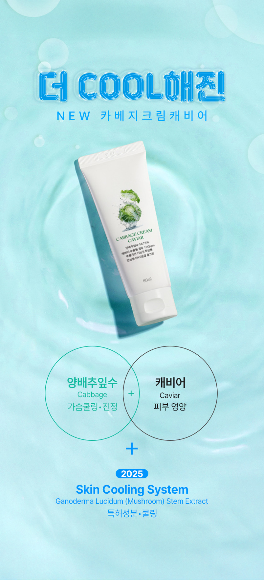 카베지크림 캐비어 양배추 쿨링 판매처 상세 정보 이미지 4