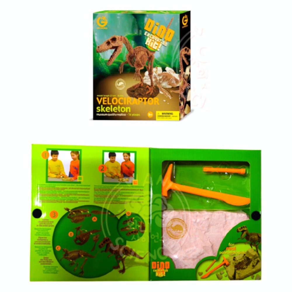 벨로키랍토르 화석발굴키트 초등학교수업 소근육능력강화 공룡체험학습