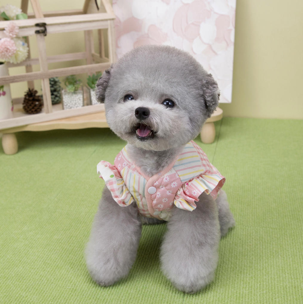 강아지패딩조끼 겨울 후리스조끼 강아지옷 애견 올일원 외출복 아우터