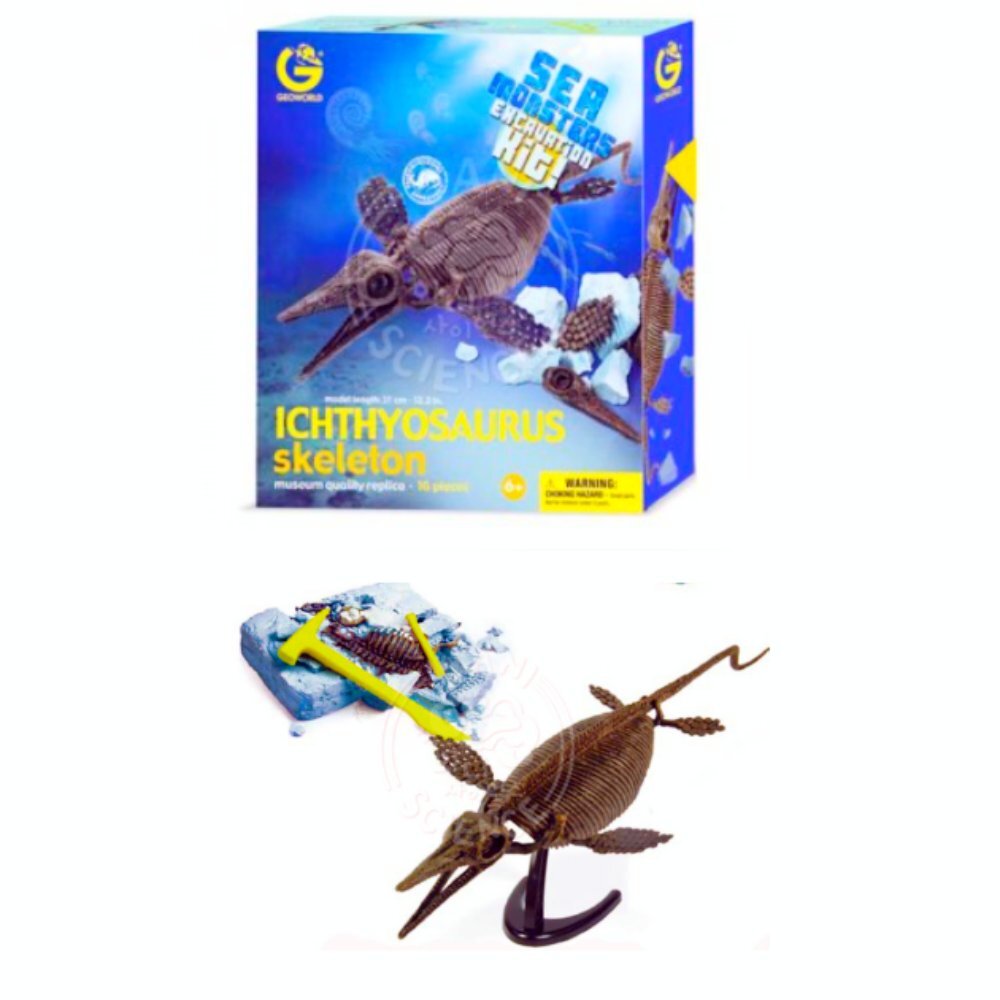 이크티오사우르스 바다공룡 화석발굴후 조립하기DIY 초등남아좋아하는선물