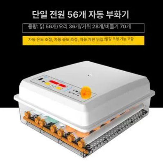 병아리부화기 조류 달걀 계란 부화 가정용 부화기 메추리 유정란 병아리 진그레이 - 상세 이미지 5