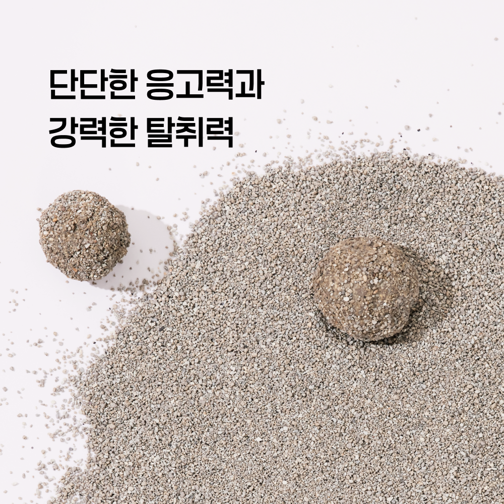 펫츠놀로지 고양이 프리미엄 샌드 응고형 벤토나이트 6kg, 3개 - 상세 이미지 4