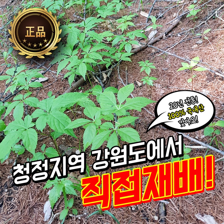 건강을 품은 자연 산양산삼 5~6년근 5뿌리 이미지 7