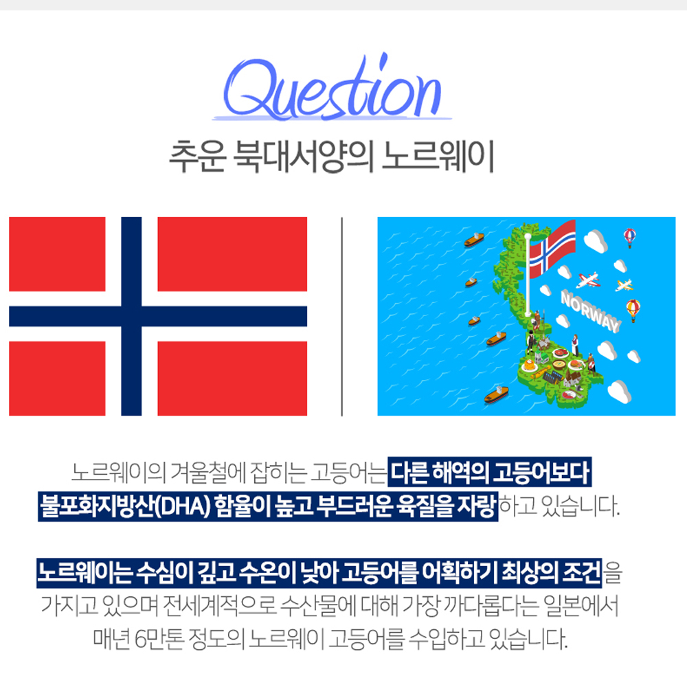노르웨이 간고등어 진공포장(대자) 33-34cm 6마리 자반고등어 업소용 생선도매 - 상세 이미지 5