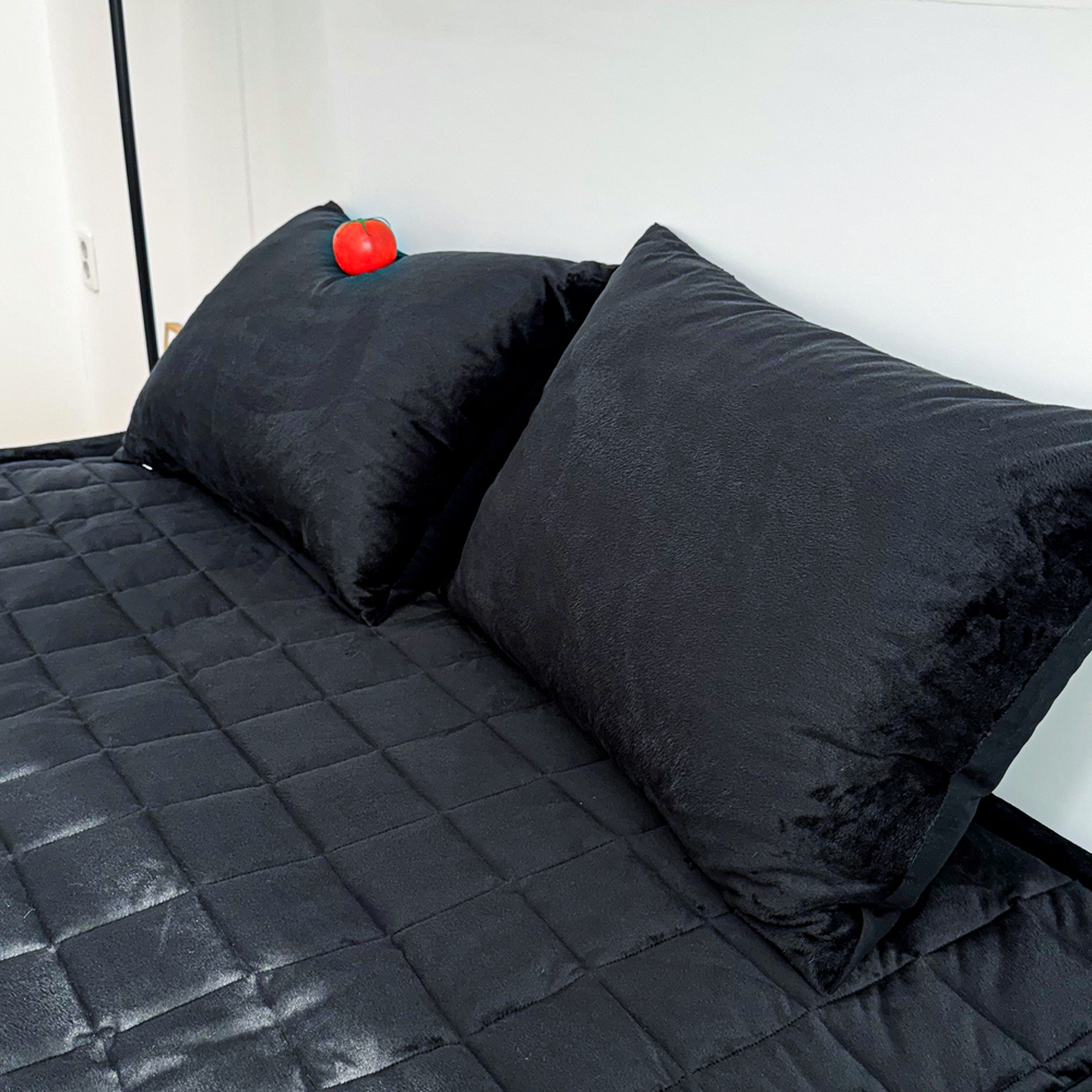 1+1 포근한 윈터테일 리버서블 워싱 밍크 겨울 극세사 베개커버 2장 블랙 캣, 50x70cm