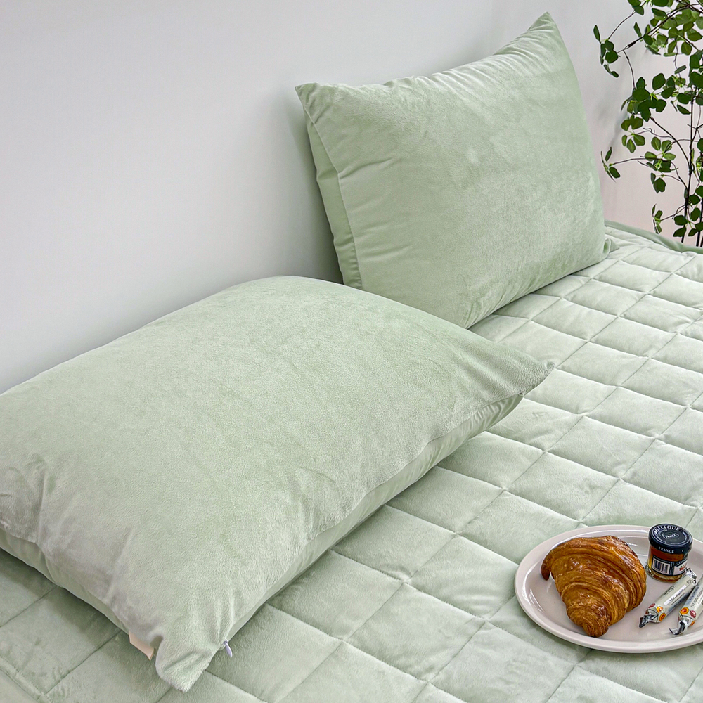 1+1 포근한 윈터테일 리버서블 워싱 밍크 겨울 극세사 베개커버 2장 페어리 라임, 50x70cm