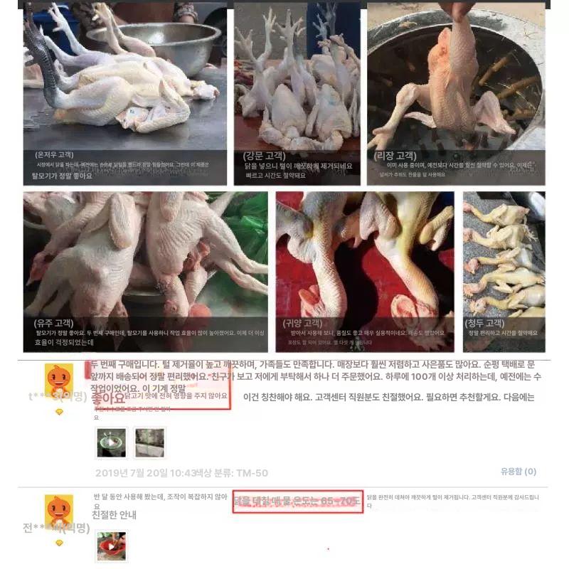 닭털 뽑는기계 닭 손질 탈모기 제거기 탈피기 식당 오리 TM30 조류 닭탈착불가 - 상세 이미지 5
