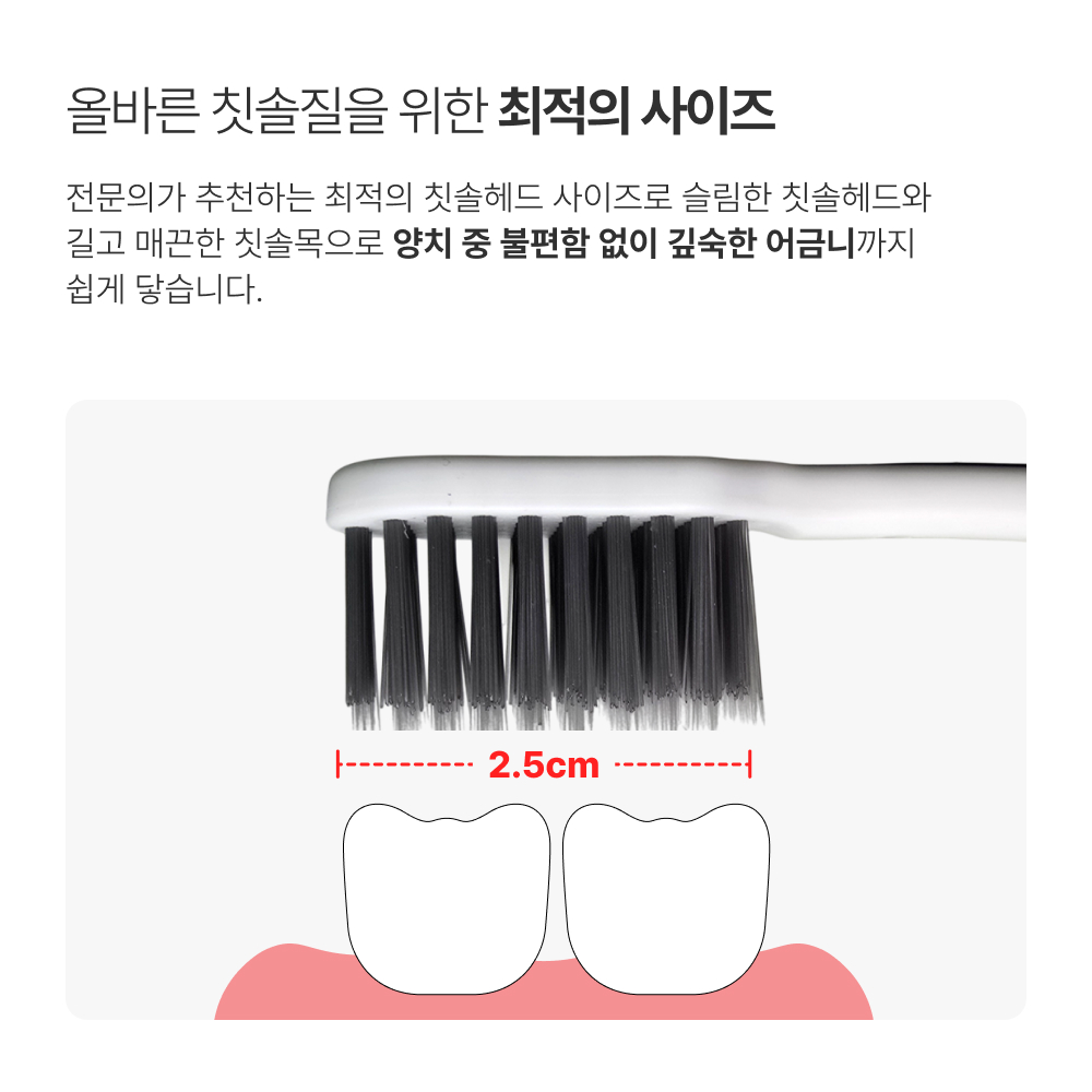 덴티넘 광폭칫솔 이중미세모 와이드 6열 광폭헤드 12개입 - 상세 이미지 3