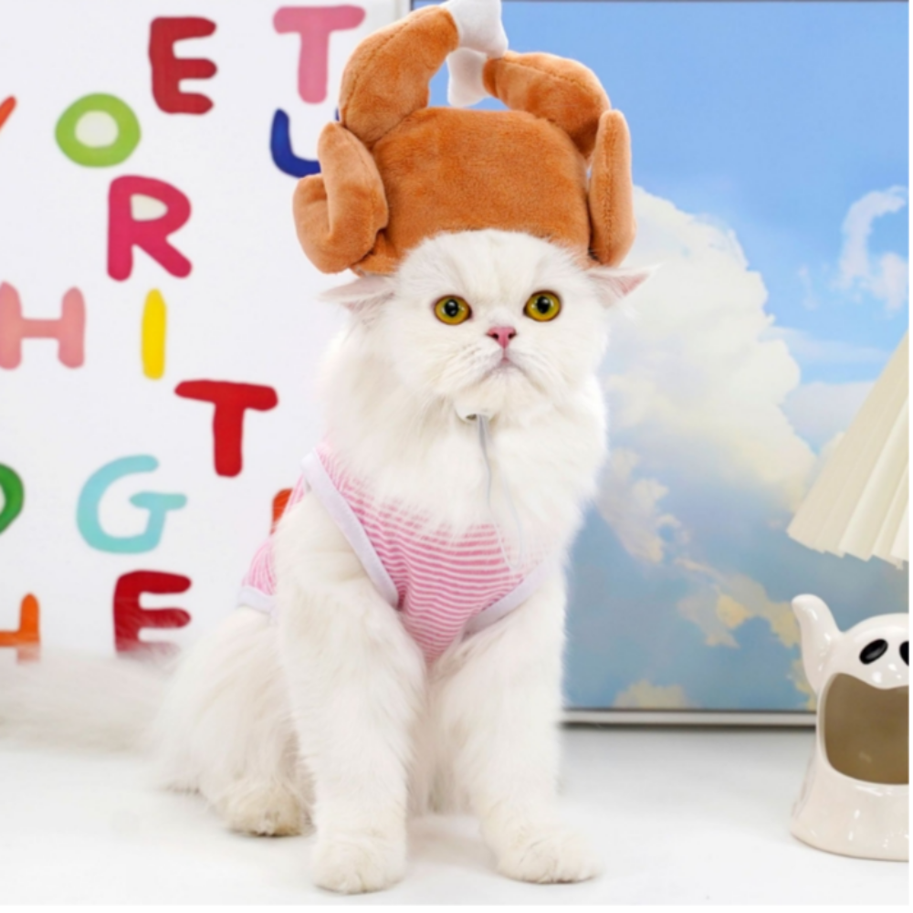 위드레오 고양이 닭다리 모자 애견모자 할로윈 코스튬 - 상세 이미지 3
