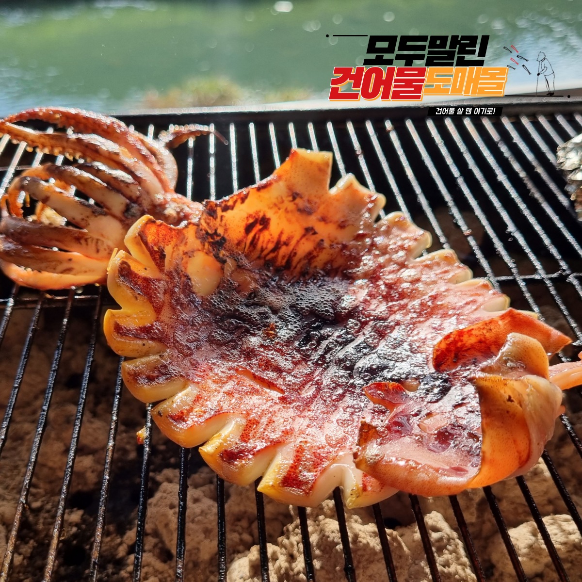 반건조오징어 피데기 피대기 특대 반건오징어 10마리 약 1.8kg, 1개