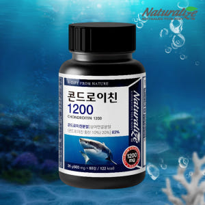 콘드로이친 콘드레이친 1200 콘트로이친 콘도로이친 콘드로이틴 60정 맛있게 먹은 솔직 후기 - 상품 이미지 2