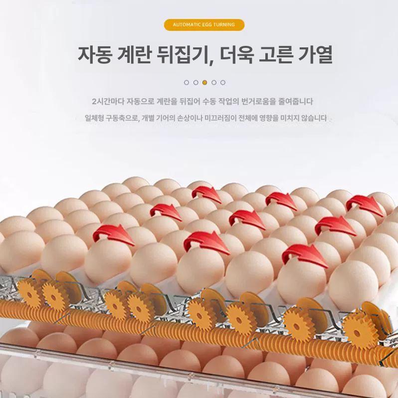 병아리부화기 조류 달걀 계란 부화 가정용 부화기 메추리 유정란 병아리 진그레이 - 상세 이미지 4
