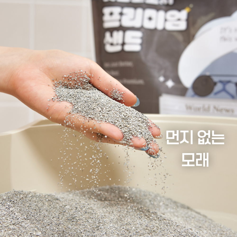 펫츠놀로지 고양이 프리미엄 샌드 응고형 벤토나이트 6kg, 3개 - 상세 이미지 3