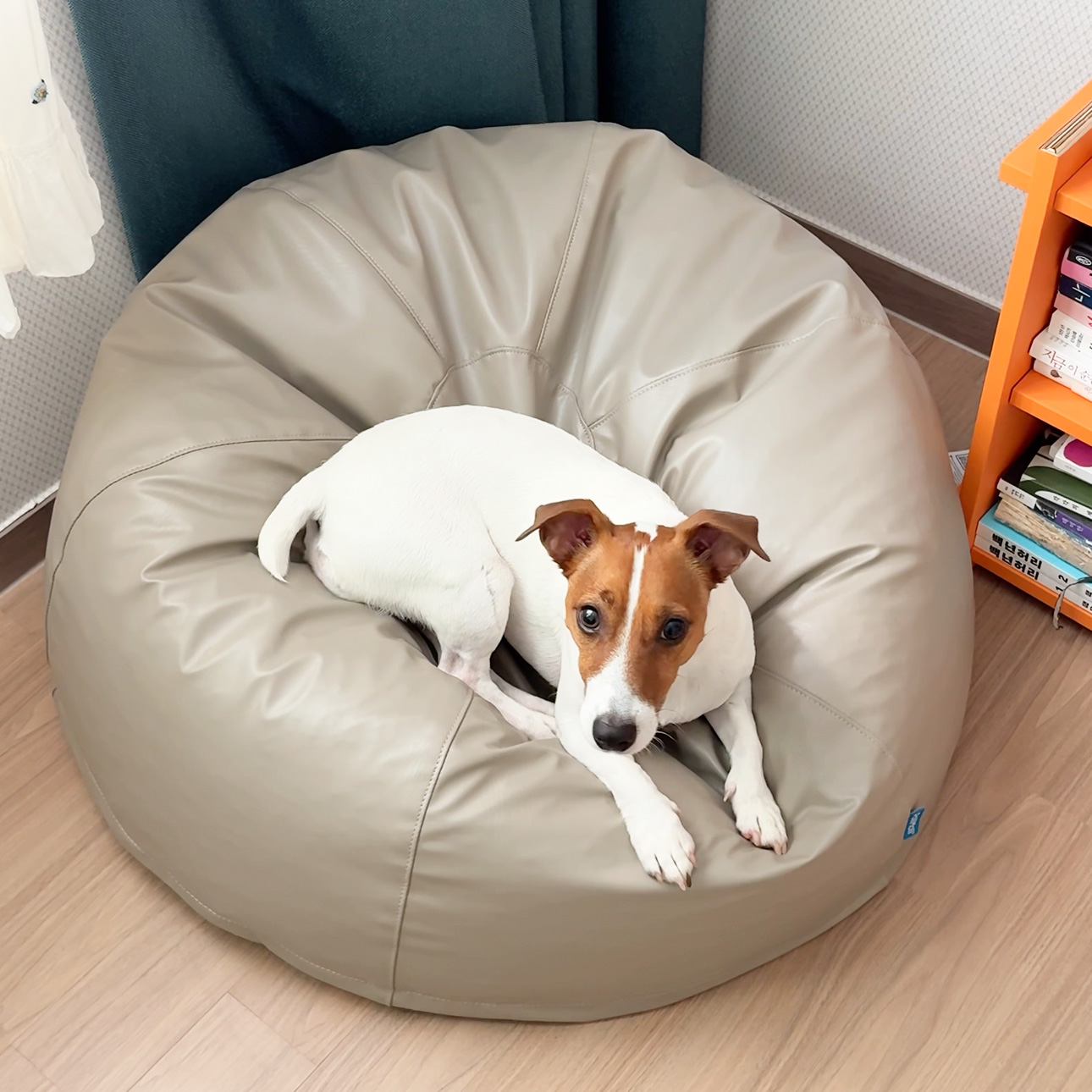 폴리몰리 904SU 강아지 펫 빈백 대형 고양이 반려동물 방석 마약 쿠션 방수 애견 침대