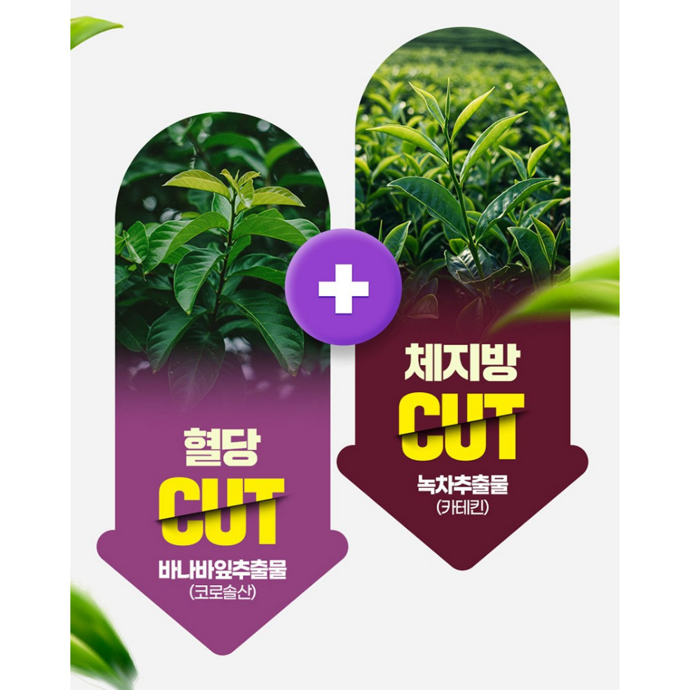 내츄럴플러스 혈당컷 체지방 다이어트 녹차 밸런스 약2개월 60정, 2개 - 상세 이미지 4