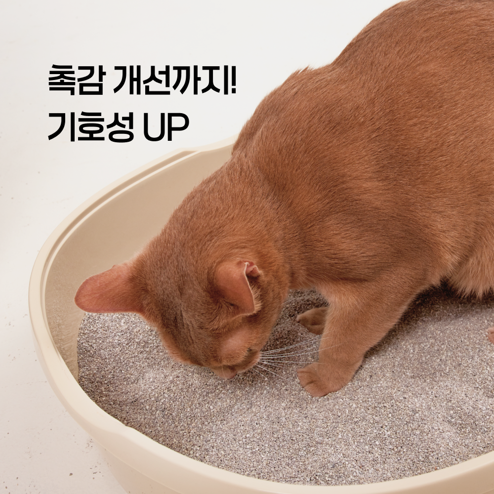펫츠놀로지 고양이 프리미엄 샌드 응고형 벤토나이트 6kg, 3개 - 상세 이미지 5