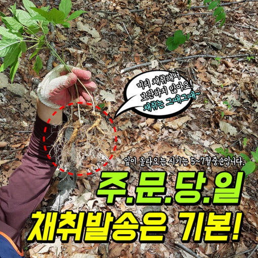thumbnail-7