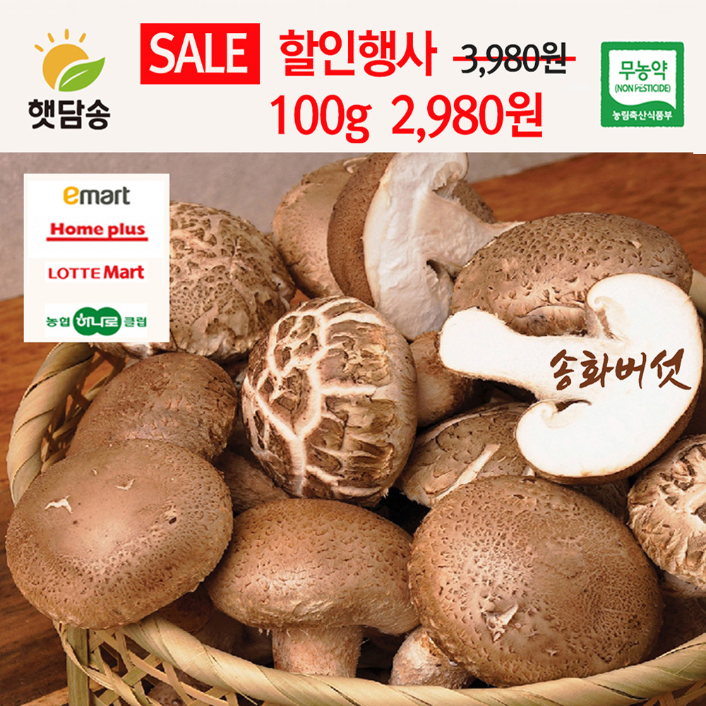 [햇담송화]무농약 국내산 송화 중상급 300g 대형마트 품질그대로 송화고버섯 송고 - 상세 이미지 2