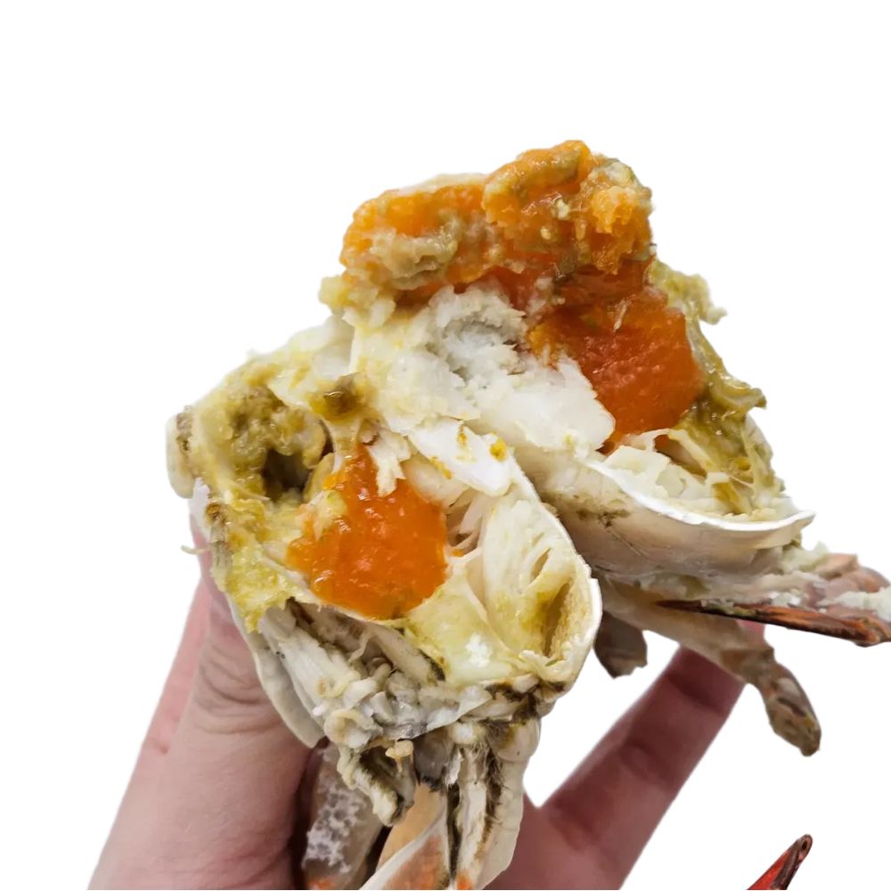 활꽃게 가을 숫꽃게 꽃개 꽂게 서해안 제철 숮꽃게 수꽃게 생물 숫게 1kg(3~5미) - 상세 이미지 4