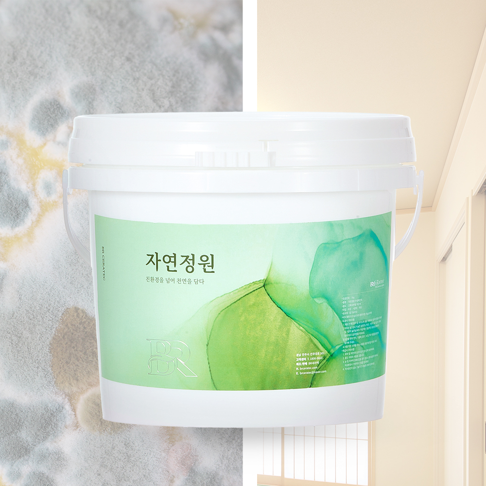 자연정원 규조토 셀프 벽지페인트 방수 친환경 곰팡이 인테리어 수성 천연 황토 화이트5kg