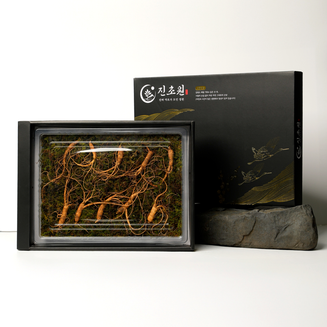 진초원 산양산삼 산양삼 장뇌삼 자연산 산삼 6년근 10뿌리
