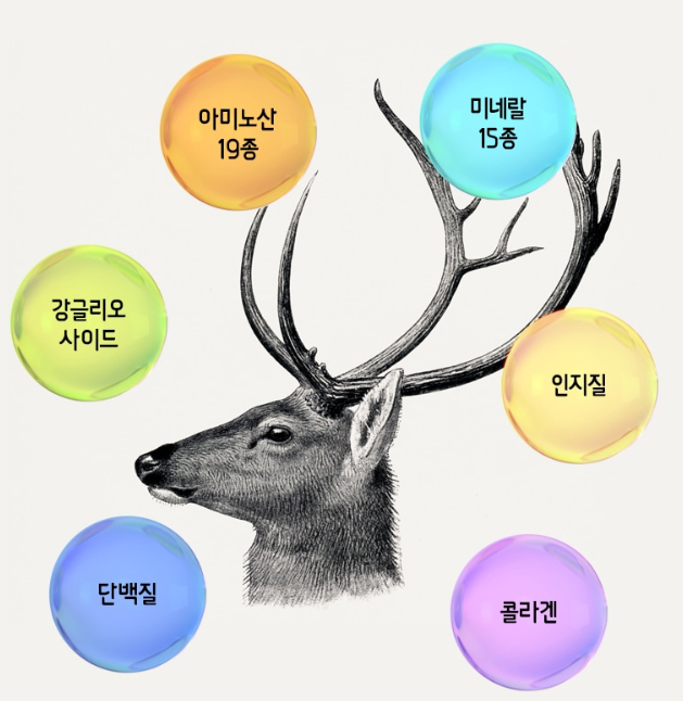 알부민 수액 영양제 마시는 알부민 30포 - 상세 이미지 4