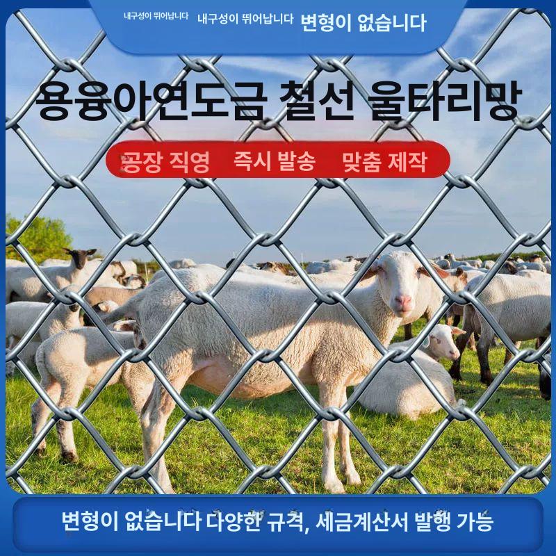 울타리철망 아연망 양계장 구멍 멧돼지 담장 철사망 울타리 사이즈 펜스 거위 1.2m 10m 8cm 2.0mm - 상품 이미지