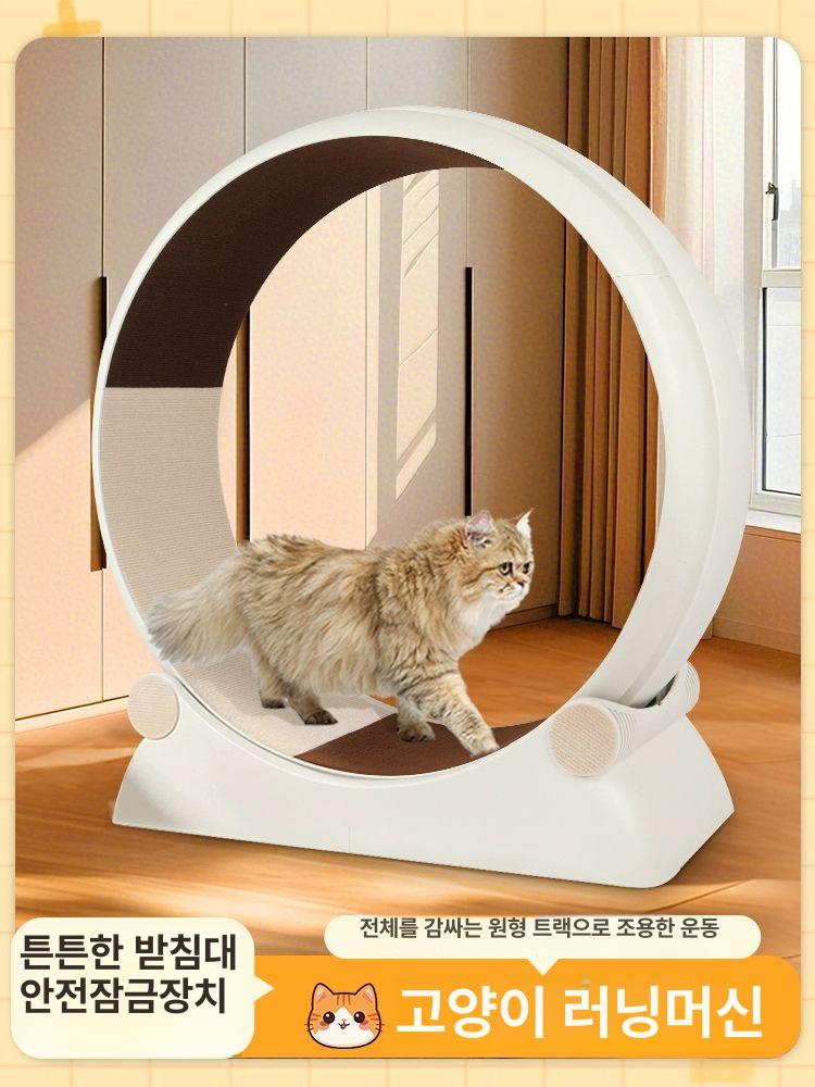 고양이캣휠 무소음 쳇바퀴 캣타워 사이즈 캣휠 놀이기구 스크래쳐 캣워커 정향화이트 장난감 포함 레이저펜 포함 - 상세 이미지 2