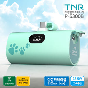 티앤알 삼성배터리셀 보조배터리 국산 도킹형 P-5300B 5000 기내반... 개봉기 | 실사용 후기 - 상품 이미지 2