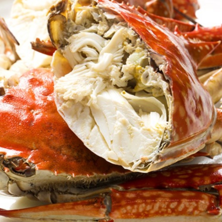 활꽃게 가을 숫꽃게 꽃개 꽂게 서해안 제철 숮꽃게 수꽃게 생물 숫게 1kg(3~5미) - 상세 이미지 2