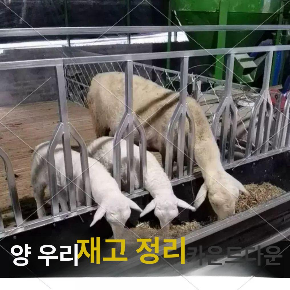 염소 밥통 먹이통 식수 사료통 여물통 축사 먹이 급여기 송아지 급식기 여물 사이즈맞춤형고객 서비스에 문의하세요 - 상세 이미지 3