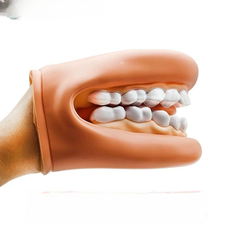 치과 치아 모형 설명 교육 병원 칫솔질 교육용 양치교육 수동 구강 소품 진료실 이빨  수동 구강 모델 - 상품 이미지