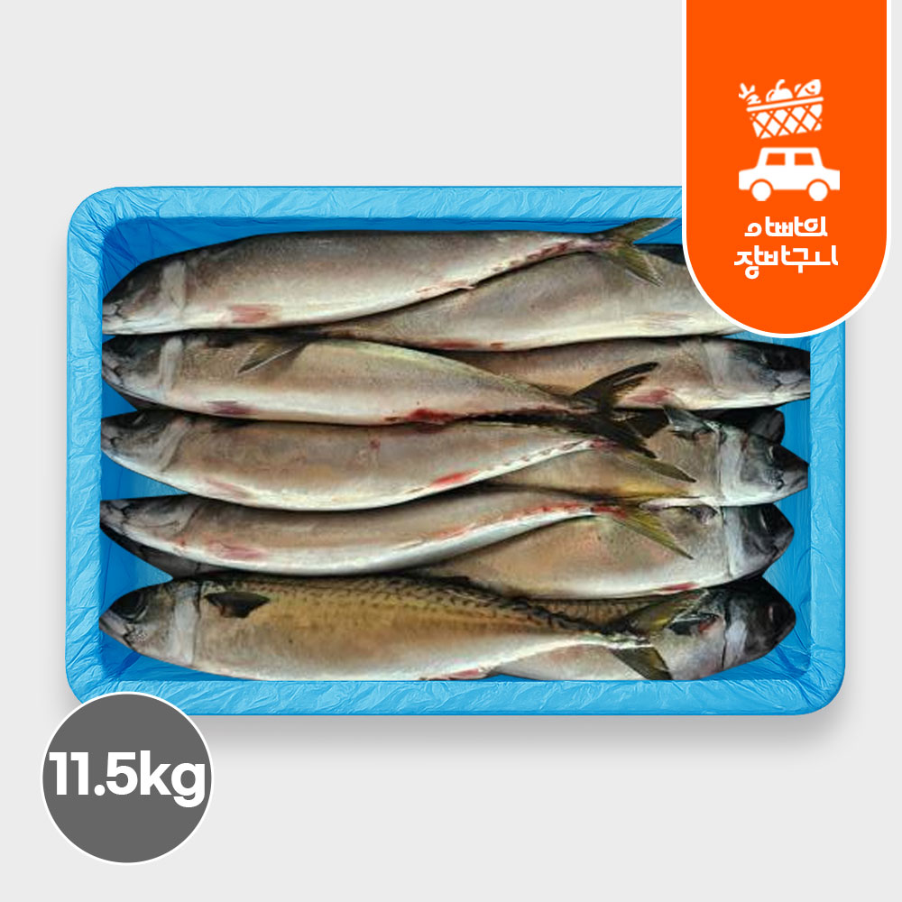 국내산 고등어 냉동 제주 참고등어 원물 자반 업소용 시판용 조림용 생선 구이 도매