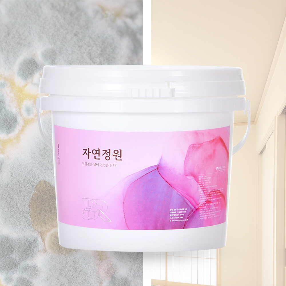 자연정원 규조토 곰팡이 결로방지 셀프 단열 페인트 베란다 탄성코트 친환경 화이트 10kg