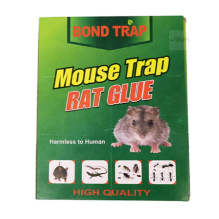 쥐 끈끈이 쥐덧 트랩 퇴치 쥐잡는법