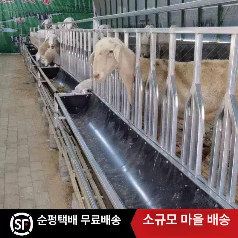 염소 밥통 먹이통 식수 사료통 여물통 축사 먹이 급여기 송아지 급식기 여물 사이즈맞춤형고객 서비스에 문의하세요 - 상세 이미지 5