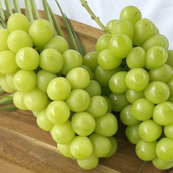 한알 달콤 고당도 포도 샤인머스켓 1kg 실속