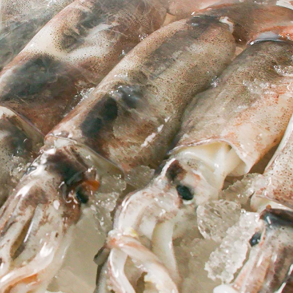 연안식당 바다품은 오징어 불고기 4팩 양념 오징어볶음 밀키트 캠핑 간편식 술안주 - 상세 이미지 4