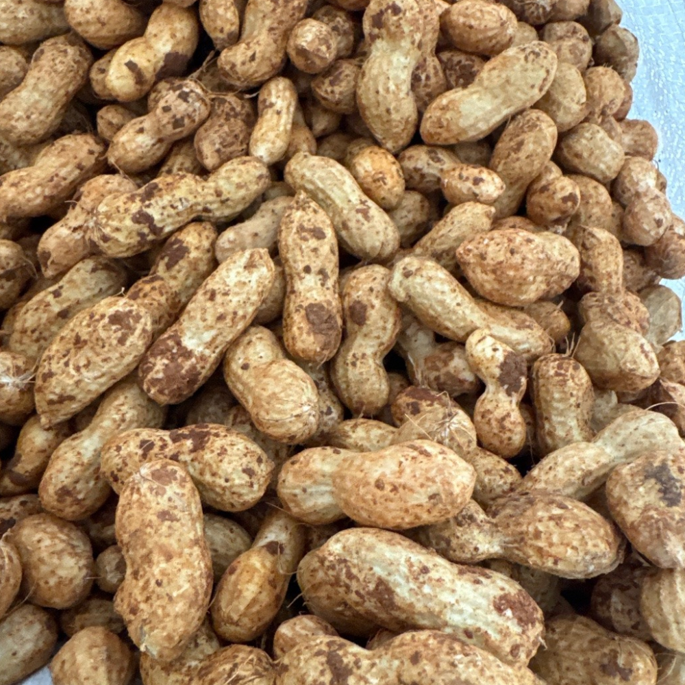 햇땅콩 생땅콩 국산 예천 피땅콩 국내산 흙땅콩 제철 알땅콩 1kg - 상세 이미지 5