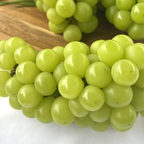 한알 달콤 고당도 포도 샤인머스켓 2kg 일반