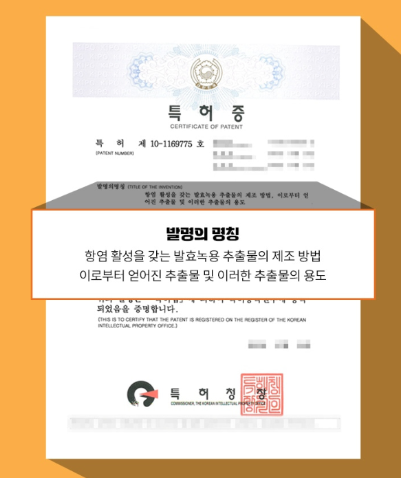알부민 수액 영양제 마시는 알부민 30포 - 상세 이미지 5