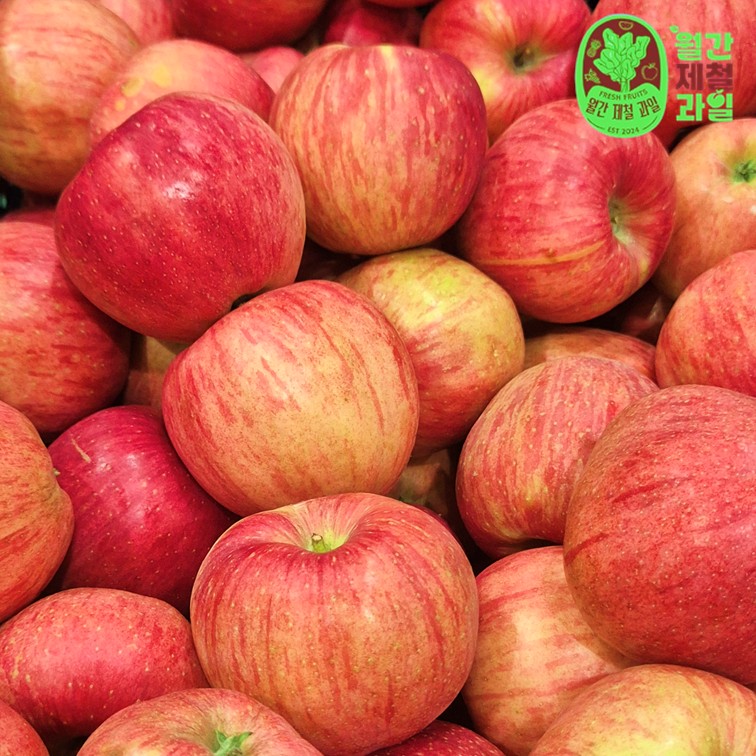 햇홍로 홍로사과 제철 5키로 못난이 사과 문경 안동 청송 사과 10kg 10키로