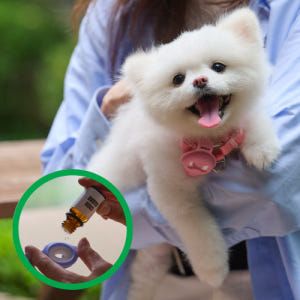 디퓨리 강아지 안심산책클립 모기 진드기 벼룩 해충기피제 벌레퇴치제+오일 ... 솔직 후기 | 실제 사용자 리뷰 총정리 - 상품 이미지 1